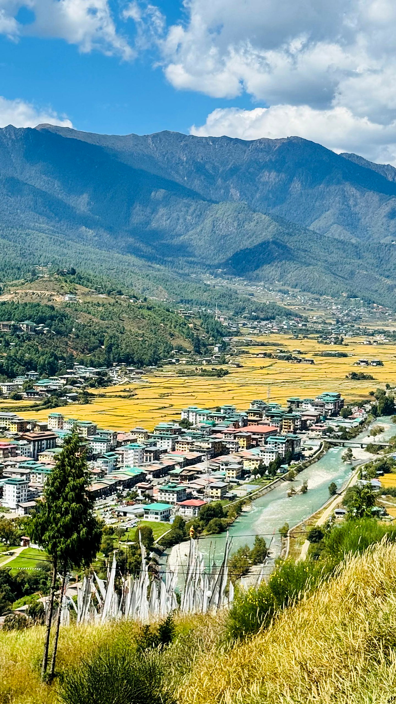 Terraced farmland and farmhouses in a Bhutanese valley