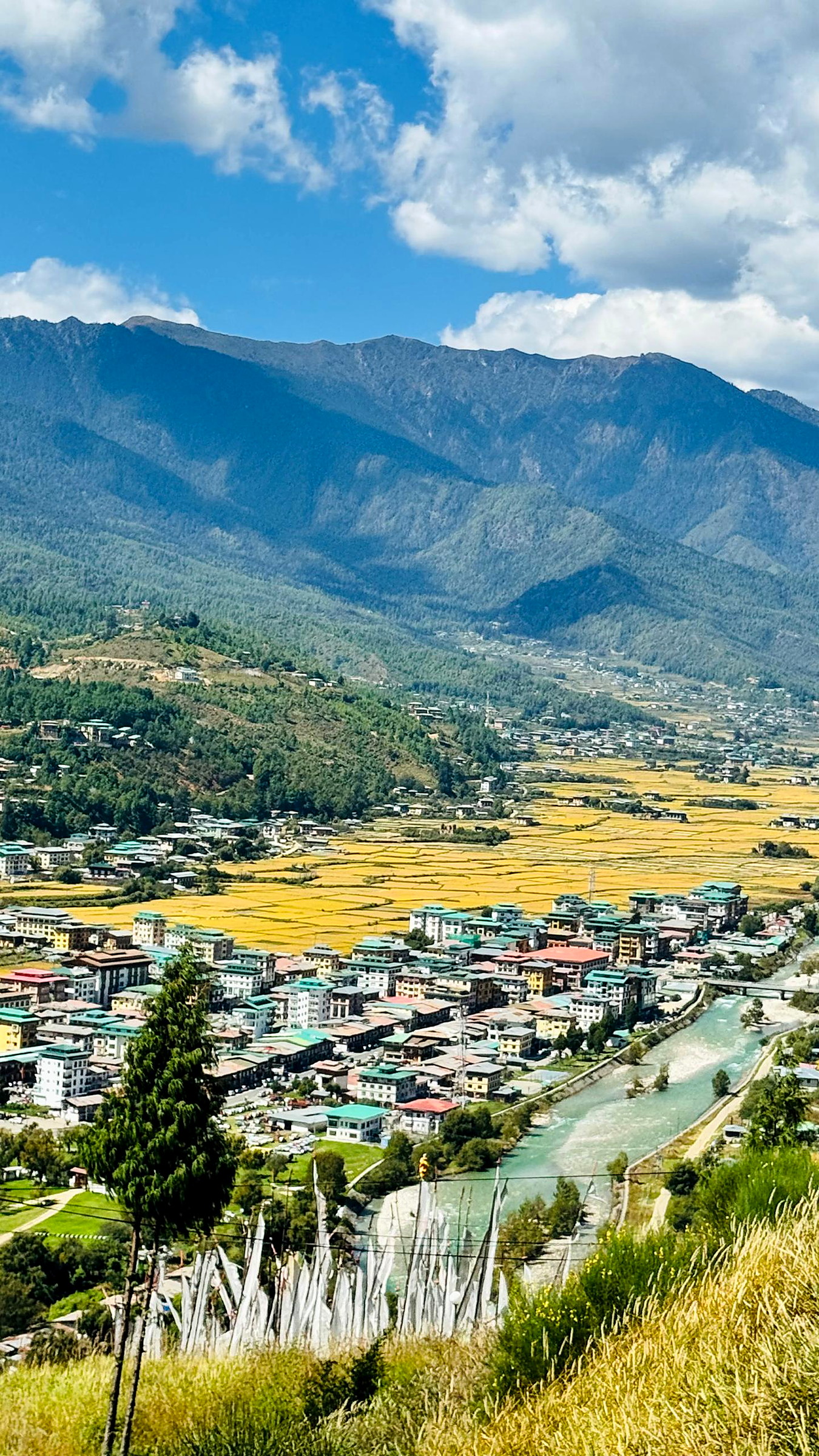 Festival Tours in Bhutan