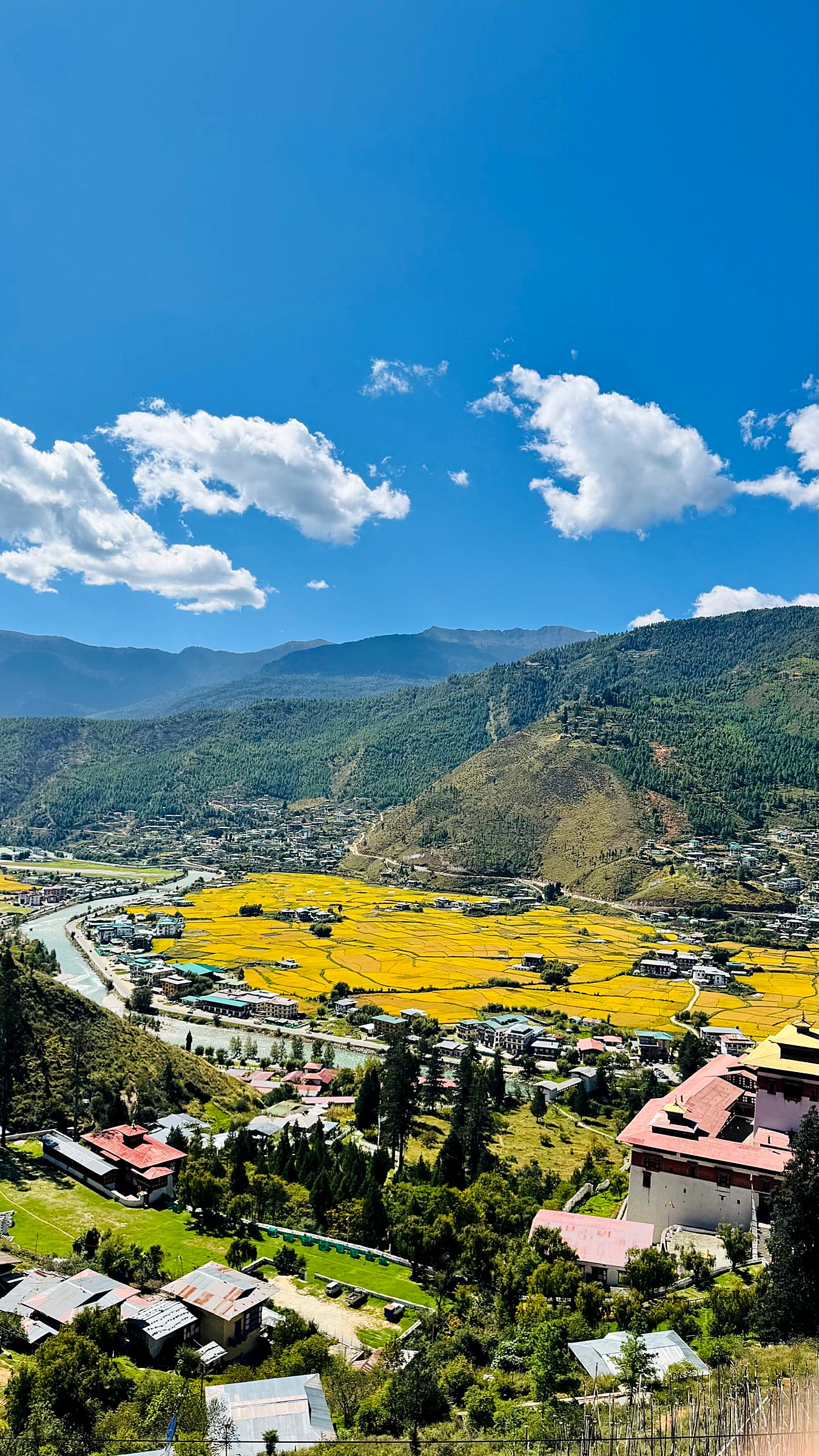 Terraced fields and farmhouses in the Paro valley