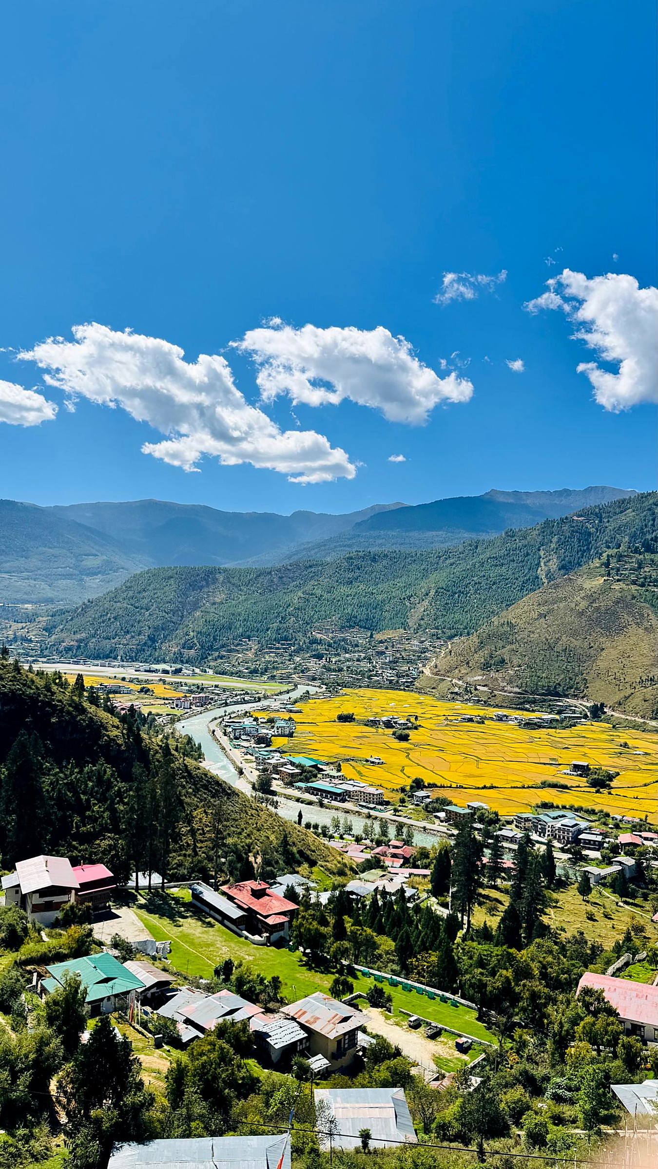 Punakha Dzong at golden hour