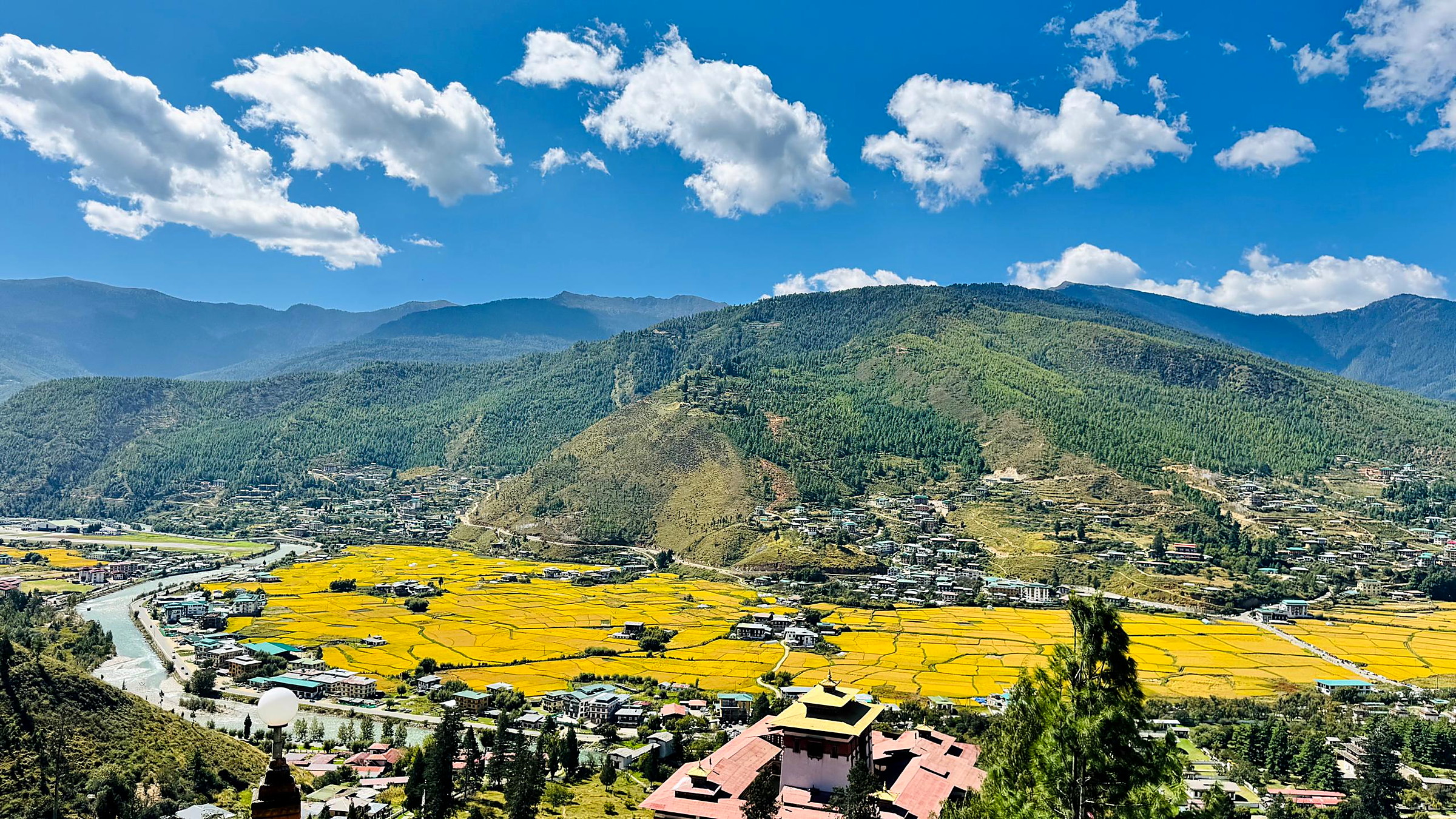 Morning haze over a broad Bhutanese valley with pine forest