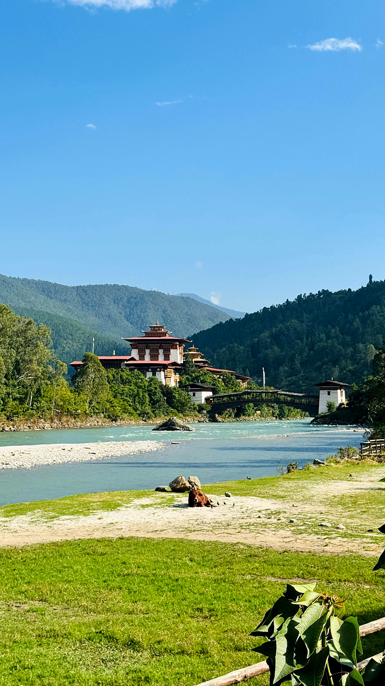 Punakha Dzong in the evening with the river running below