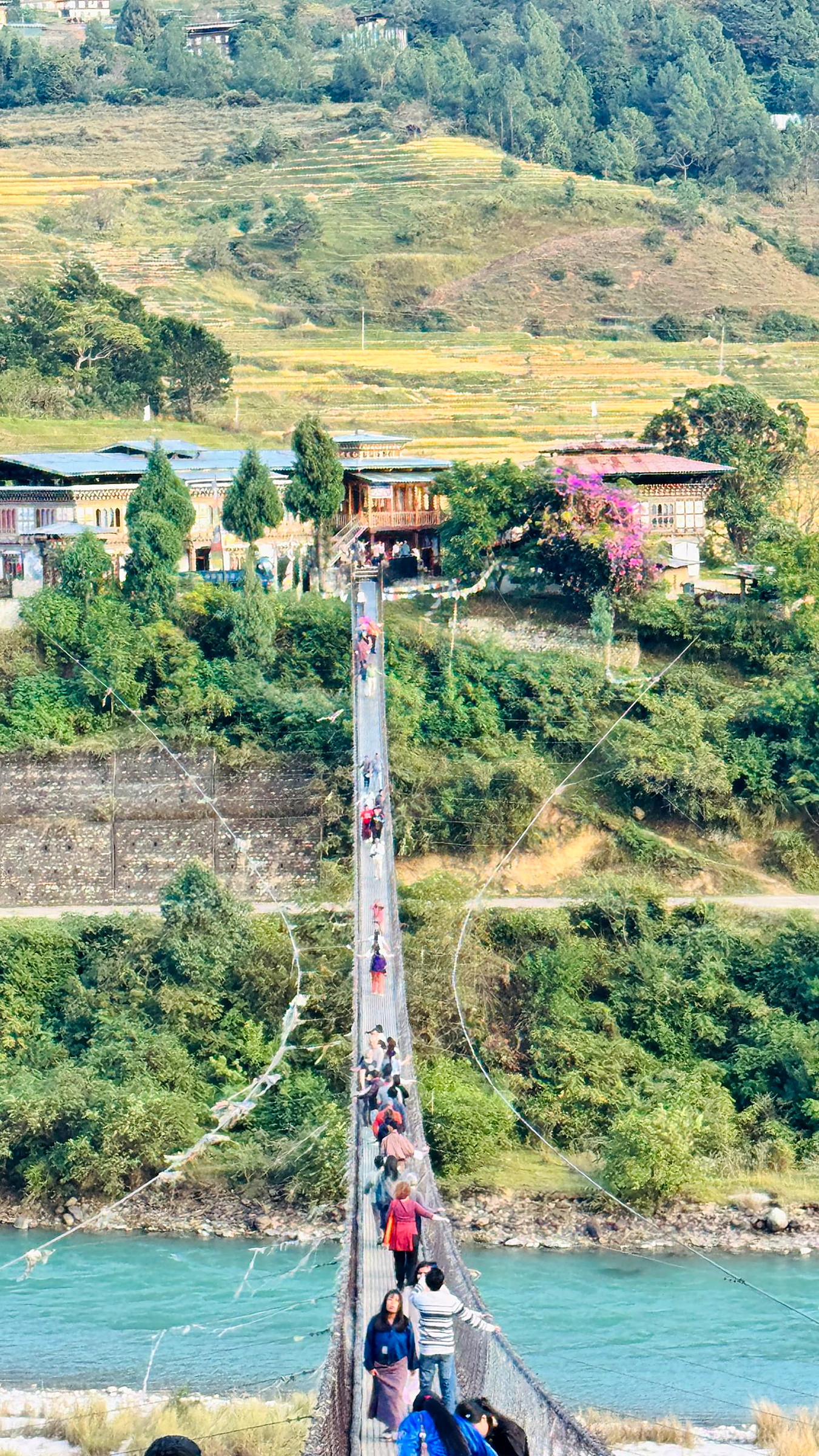 Prayer flags tied along the railings of the Punakha suspension bridge