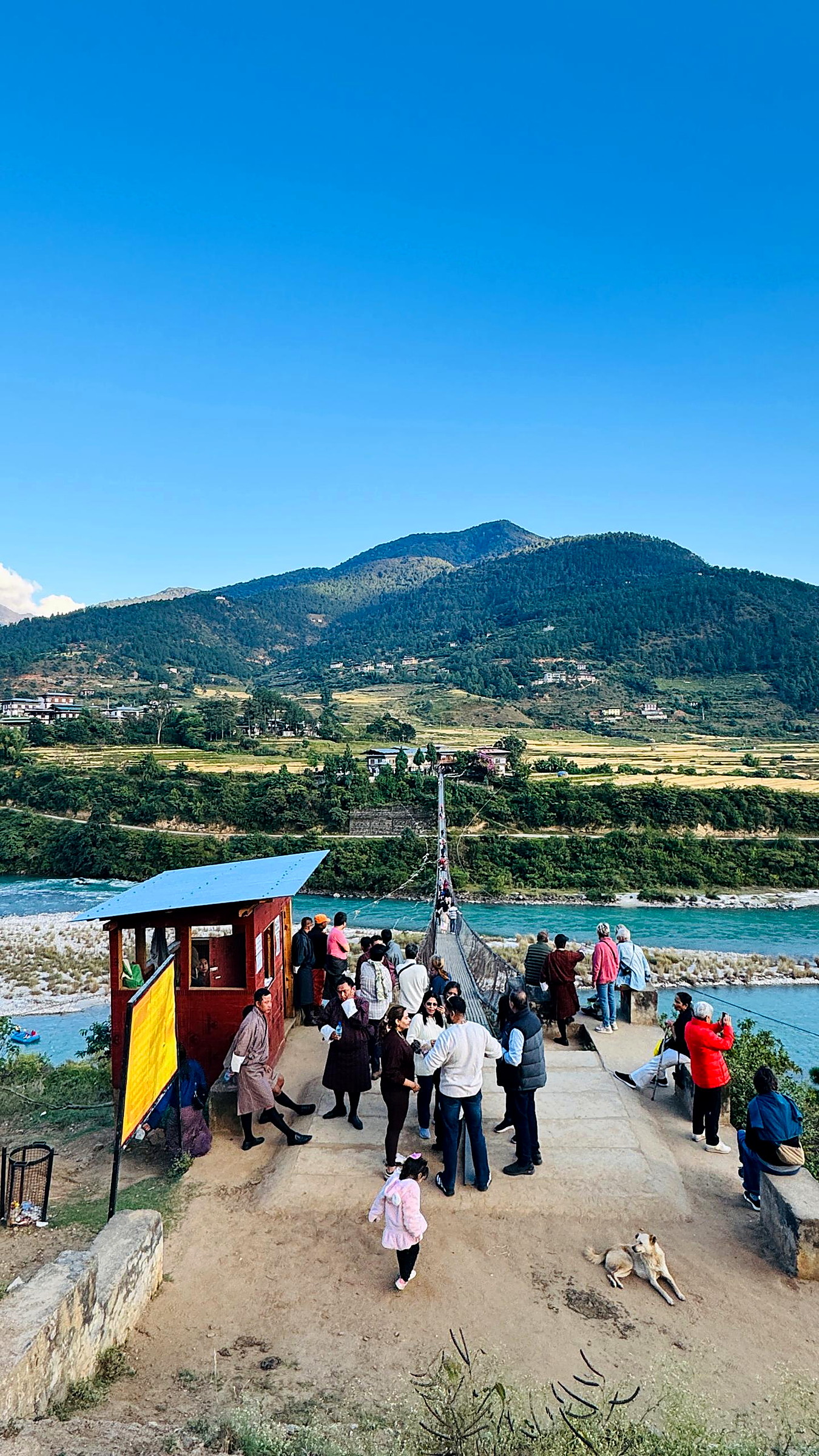 The long steel span of the Punakha suspension bridge above the river